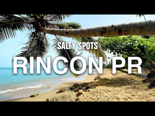 Spearfishing & Exploring in Rincón, Puerto Rico | Salty Spots