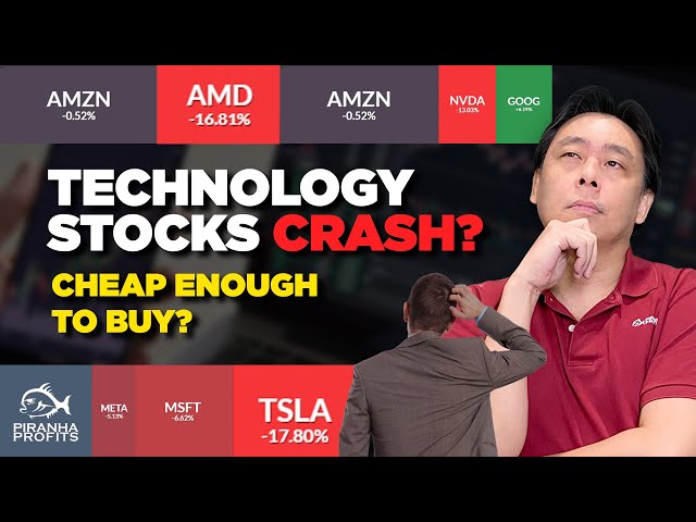 Technology Stocks Crash. Cheap Enough to Buy?