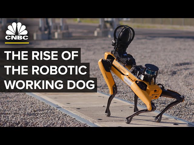 Where Four-Legged Robot Dogs Are Finding Work