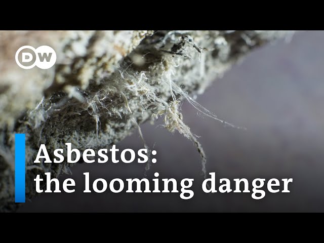 Why asbestos still remains a global hazard | DW News