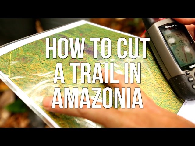 How to Cut a Trail in Amazonia