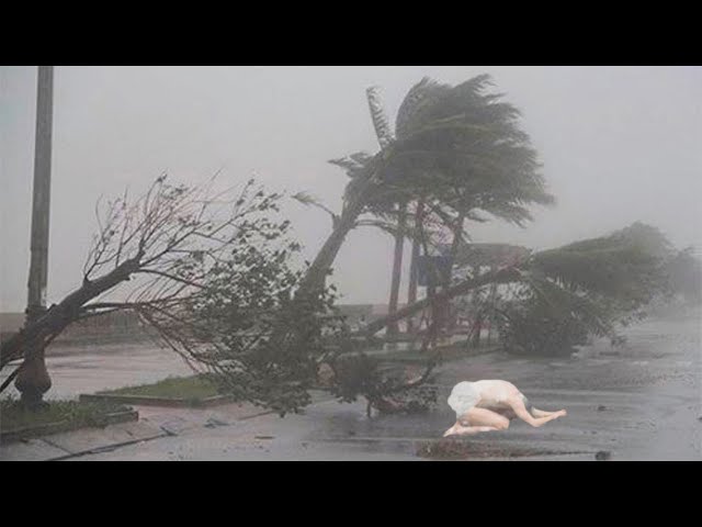 Hurricane 170 km/h took people by surprise! Storm in Hubballi, Karnataka, India