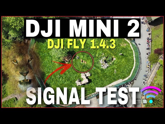 DJI MINI 2 | 1.4.3 SIGNAL TEST