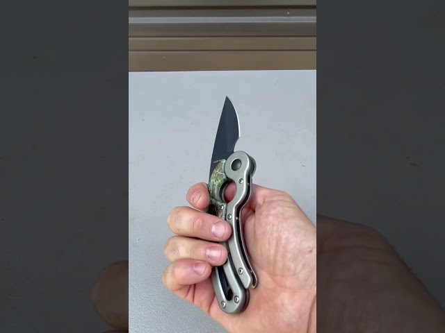 Fixed Blade Folding Knife
