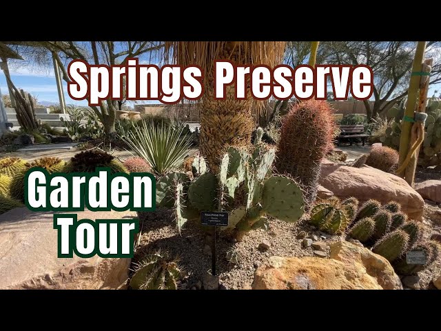 Desert Garden Tour at the Las Vegas Springs Preserve
