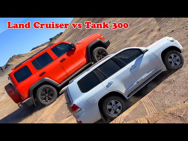 Land Cruiser vs Tank 300 and Jeep Wrangler PK Off-road Amazing | Which car will win