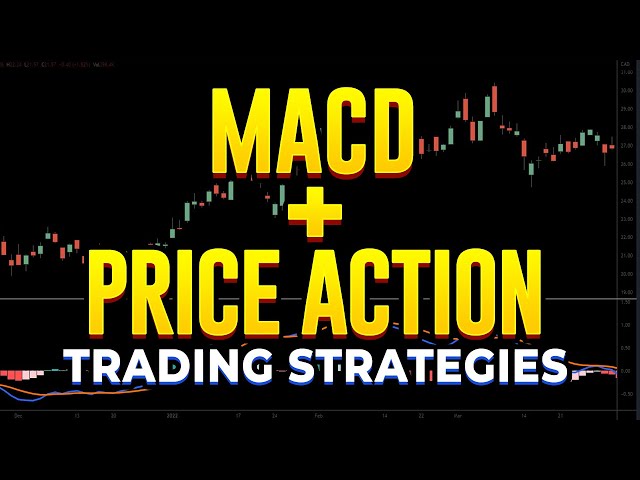 Best MACD + Price Action Trading Strategy You'll Ever Find!