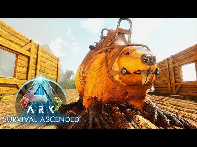 ARK: Survival Ascended 024 | Wir haben einen Biber gezähmt | Gameplay Deutsch Staffel 1