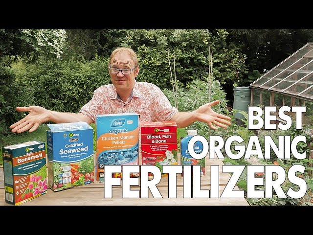 Which Organic Fertilizers Work Best?  The Top 5 Reviewed 🏆