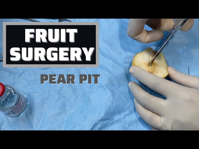 Fruit Surgery - Pear Pit