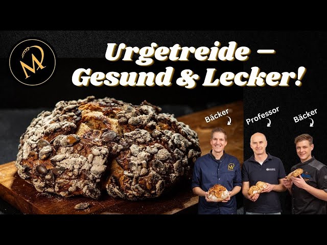 Urgetreide – Gesund, Lecker & Nachhaltig!  - Bäcker treffen auf Professor - Talk Teil 3