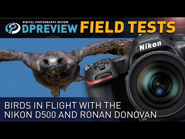 Field Test: Birds In Flight with The Nikon D500 and Ronan Donovan