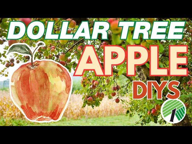 🍎 APPLES! 23 Best Fall Dollar Tree DIYS! Autumn Coffee Bar & Tiered Tray DIY