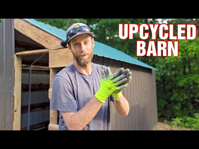 Upcycled "Barn" Build Gets SIDING |Building a Metal Barn Animal Enclosure For Our Cabin Homestead