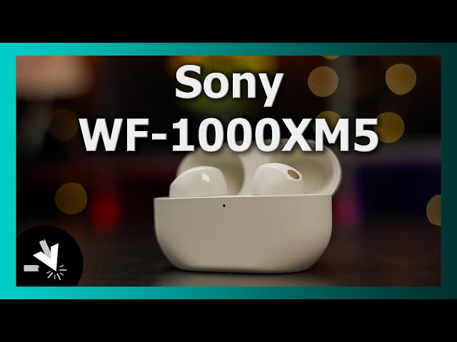 Sony WF-1000XM5 | Klein und trotzdem Stark