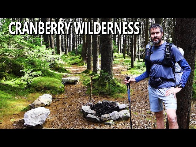 Solo Backpacking the CRANBERRY WILDERNESS in Monongahela National Forest