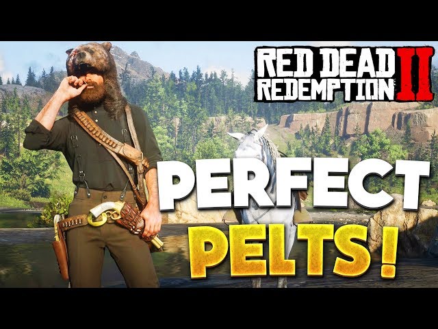 RDR2 How To Get Perfect Pelts & Legendary Animals! Red Dead Redemption 2 Tips & Hunting