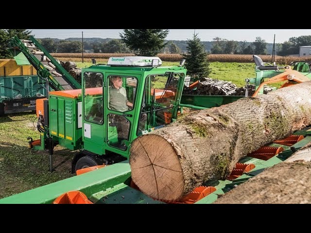 Biggest Modern Firewood Processing Sawmill Equipment Action, Fastest Amazing Wood Cutting Splitter