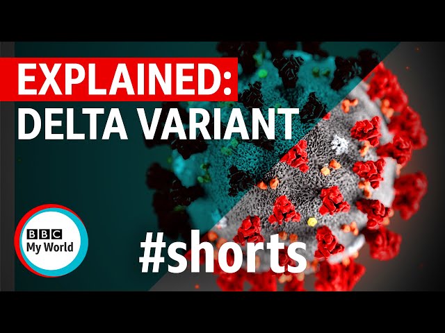 Covid-19: Delta variant explained from symptoms to incubation period - BBC My World #shorts