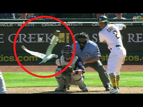 Craziest "1 in a Trillion" Moments in Sports History