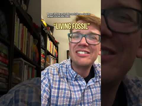 Can a "living fossil" still evolve? #shorts #science #SciShow