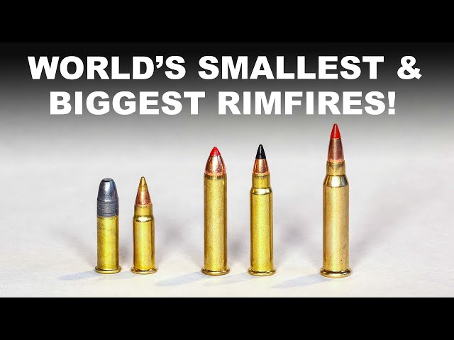 World's Smallest & Biggest Rimfires — 17 and 22 Calibers