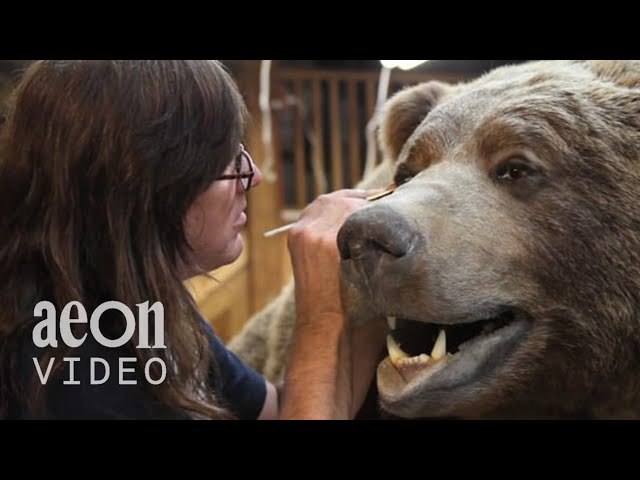 Inside the World Taxidermy Championships | Taxidermists