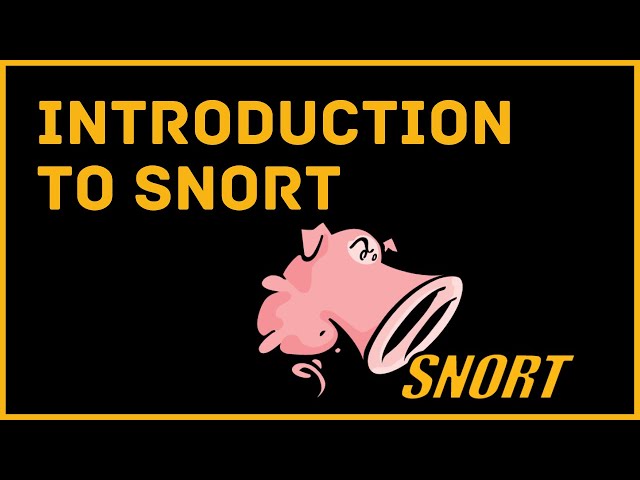 Introduction To Snort IDS