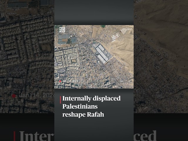 WATCH: Internally displaced Palestinians reshape Rafah in the Gaza Strip
