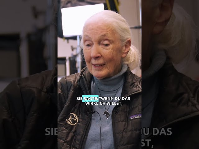 Ich durfte die Schimpansenforscherin Jane Goodall auf dem Weltwirtschaftsforum in Davos interviewen