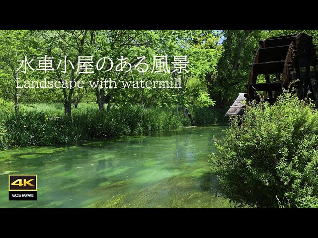 4K video + natural  sounds / Azumino Landscape with watermill / Landscape with watermill