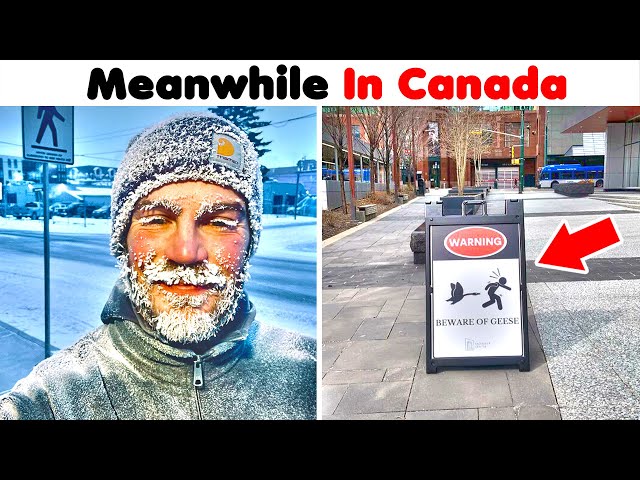 Photos That Prove Canada Is Different From The Rest Of The World