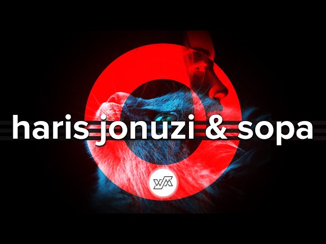 Haris Jonuzi & SOPA - Obscure (Dub Techno - Wejustman Records)