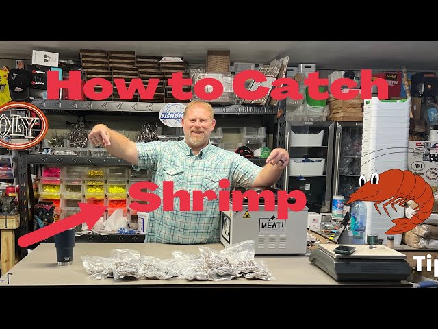 How to Shrimp: Learn Shrimping from Locals in Jacksonville Florida. Powerful DIY Shrimping Tips