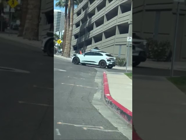 Waymo DISABLED By A CONE
