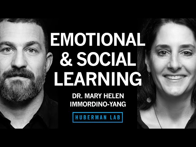 Dr. Immordino-Yang: How Emotions & Social Factors Impact Learning | Huberman Lab Podcast