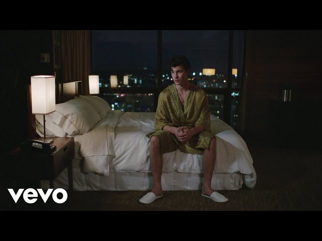 Shawn Mendes, Zedd - Lost In Japan (Original + Remix)