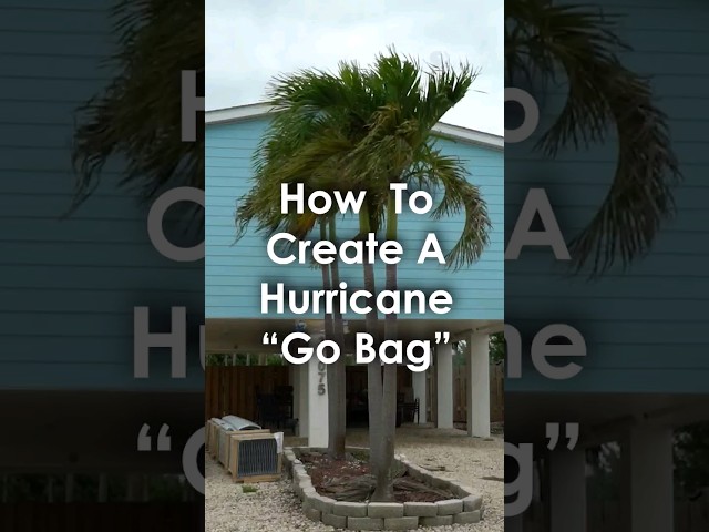 How to Create a Hurricane "Go Bag"