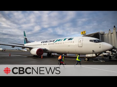 WestJet customers raise privacy concerns after personal info exposed