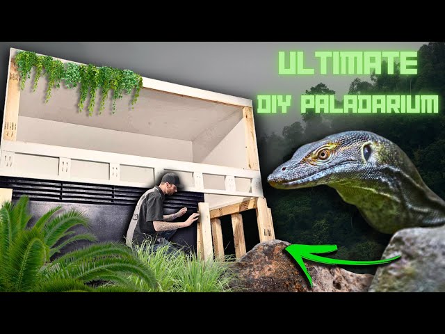 How To Build The Ultimate Paludarium. Create Your Own Aquatic Oasis