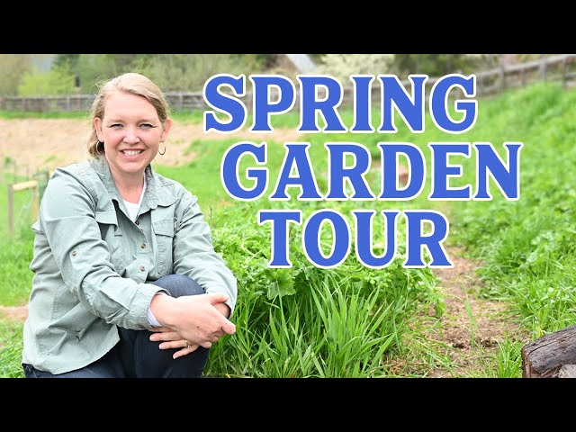 {GARDEN TOUR} Growing enough to feed our LARGE family THIS YEAR!