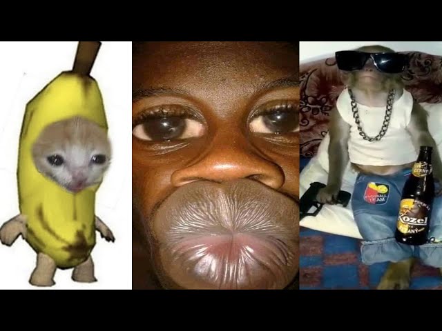 THE FUNNIEST MEMES Of September 2023 | Try Not To LAUGH 😂 | #13