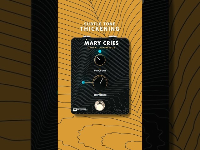 Mary Cries: Subtle Tone Thickening | Tone Sample | PRS Guitars #shorts