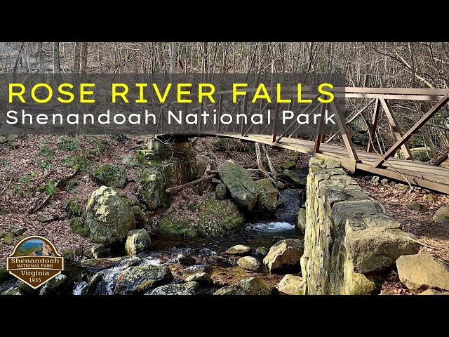 Shenandoah National Park - Rose River Falls Loop Trail | Virginia Hiking