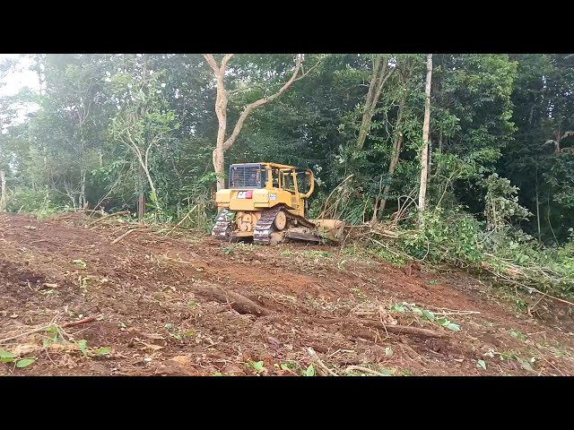Palm Oil Land Clearing Innovation for the Use of D6R XL Bulldozers in Mountain Areas