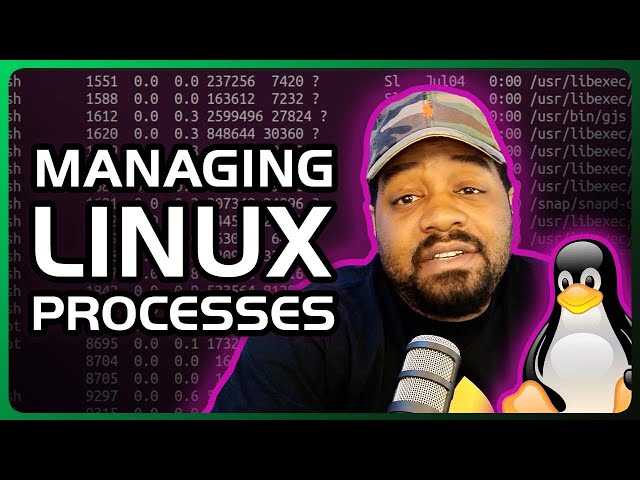 Using the ps Command | Efficient Process Monitoring on Linux Systems
