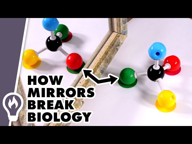 Homochirality: Why Nature Never Makes Mirror Molecules