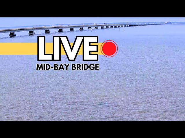 Lulu's Mid-Bay Bridge Cam