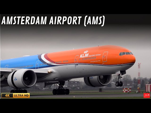 30 GREAT LANDINGS in 4K | AMSTERDAM Airport Plane Spotting (AMS/EHAM)