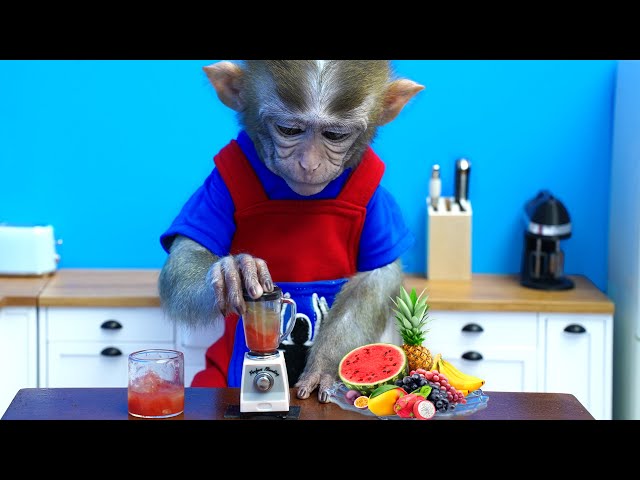 Monkey Baby Ben Ben harvests fruit on the farm to make watermelon smoothies